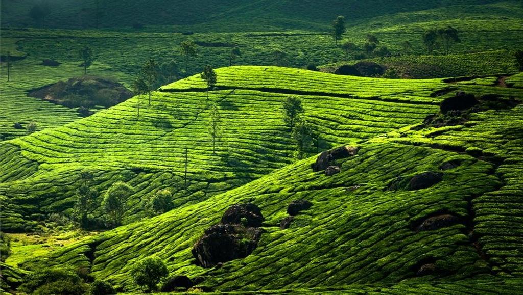 Clouds Valley Hotel Munnar Exterior foto