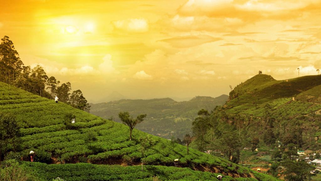 Clouds Valley Hotel Munnar Exterior foto